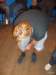 cimg6449016_small.jpg