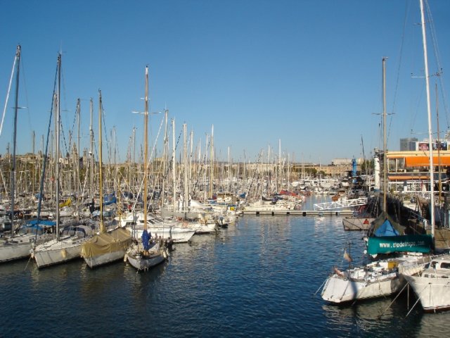 dsc04336.jpg