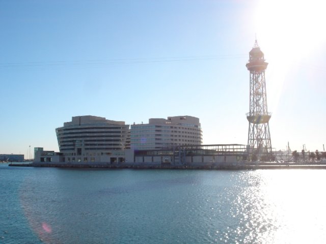 dsc04337.jpg