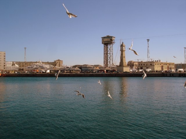 dsc04353.jpg