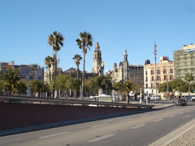 dsc04358.jpg