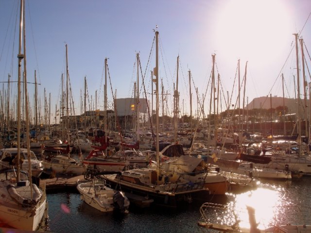 dsc04394.jpg