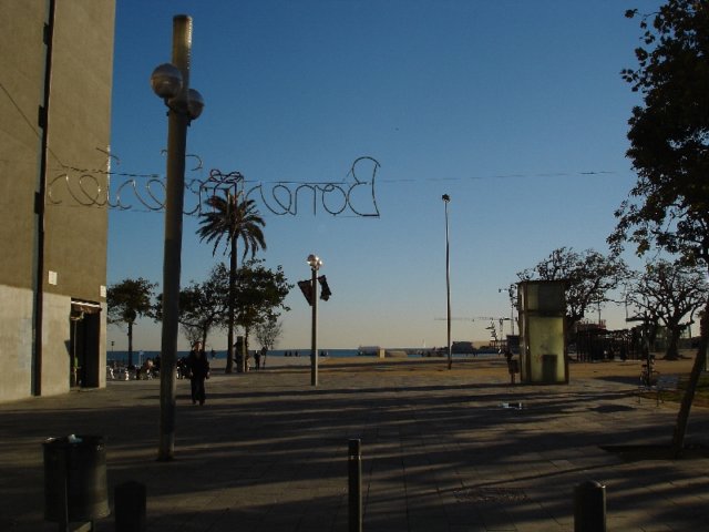 dsc04395.jpg