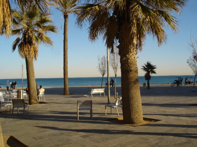 dsc04396.jpg