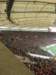 cimg0212_small.jpg