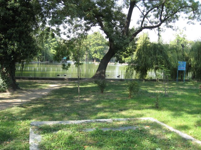 img_1940.jpg