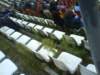 dsc00040_small.jpg